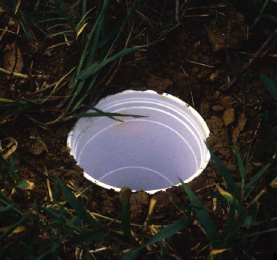 A plastic cup in the ground. The rim of the cup is flush with the surface of the ground.